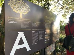-墨尔本皇家植物园