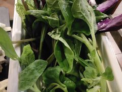 -滇釜火锅·能喝汤的火锅(车公庄店)