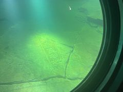 -白鹤梁水下博物馆