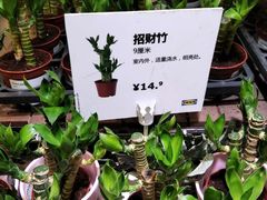 -IKEA宜家家居(南京商场)