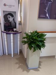 点击看大图 -杭州海亮医院 · 禾芸嘉医美中心