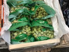 -西郊国际农产品交易中心