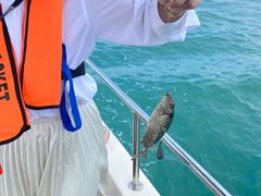 -小猫钓鱼海钓俱乐部(椰梦长廊店)