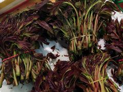 -农工商超市(金沙江路店)