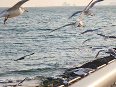 -海云台海滩