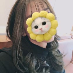 -Tipo Hair salon（明星）店