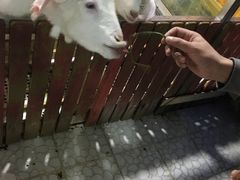 -上海大自然野生昆虫馆(东方明珠·爬宠昆虫探索中心)