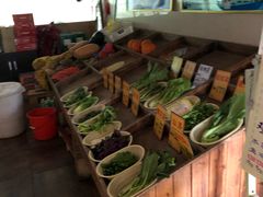 -香山小厨(南联路店)