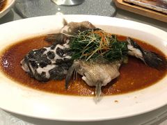 -维园悦谱·海派家常菜(乌鲁木齐南路店)