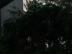 -黑明餐厅(白鹭洲店)