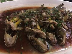 汪刺鱼-春暖花开(西溪店)