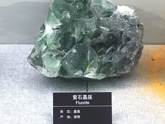 -甘肃地质博物馆