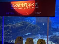 -海合安武汉极地海洋公园