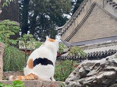 -颐和园