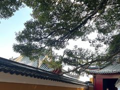 -普陀山慧济禅寺