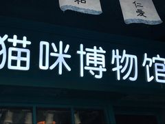 -猫咪博物馆(顶澳仔猫街店)