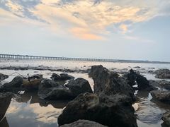 -宝安西湾红树林湿地公园