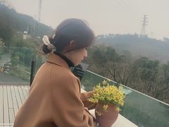 -远山有窑