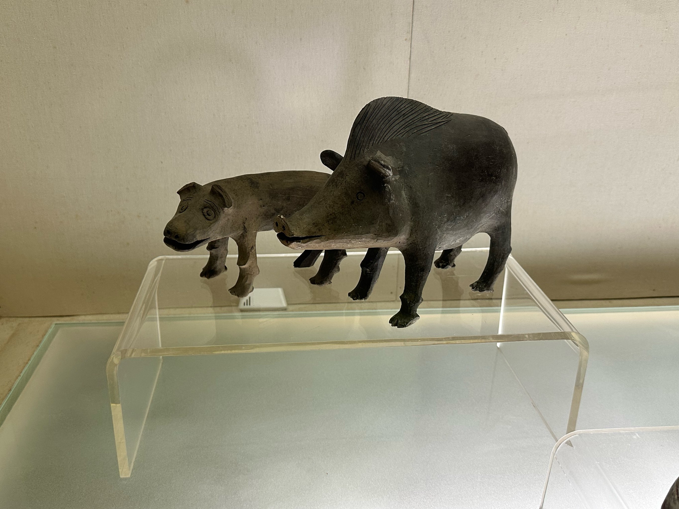 去旅顺看网红国宝