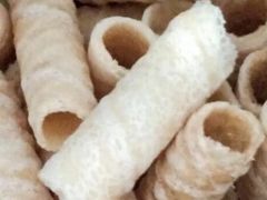 -深圳野生动物园