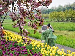 -长田漾湿地公园