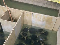 -龟场私房菜