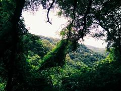 -广州市白云山风景名胜区