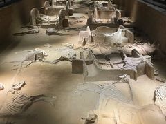 -洛阳周王城天子驾六博物馆