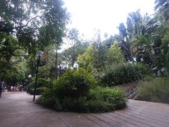 -九龙公园