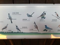 -福田红树林生态公园