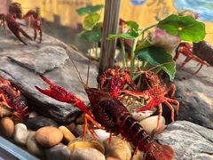 -长沙文和友(海信广场店)