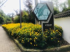 -重庆平顶山公园