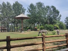 -大连森林动物园