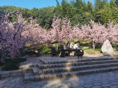 -三国水浒景区(无锡影视基地)