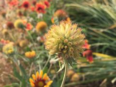 -丹世红酒庄·烧烤·团建·婚礼·水上运动