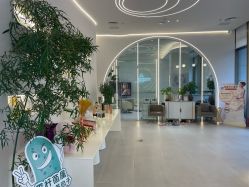 -紫琪尔·匠心连锁·胸部护理养护