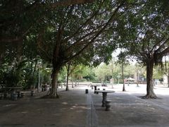 -滴水岩森林公园