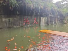 -千岛湖东南湖区