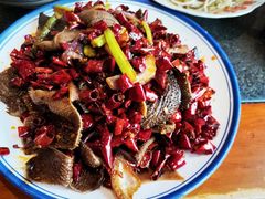 -福苗小骆驼烧烤(中关村店)