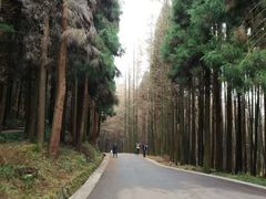 -山王坪喀斯特国家生态公园