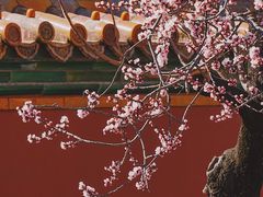 -故宫博物院(故宫)