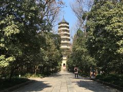 -灵谷景区
