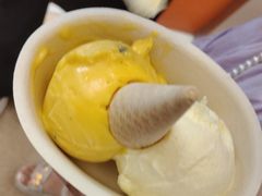 -极拉图·现制冰淇淋(大卫城店)