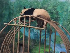 -杭州动物园