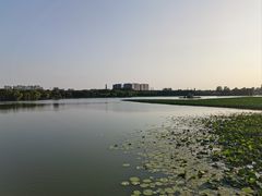 -大兴滨河森林公园