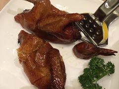 -金苑海鲜酒家(来魅力店)