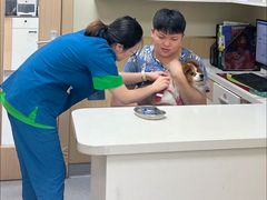 -康成宠物医院24H·CT·核磁共振