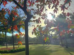 -海南清水湾莱佛士酒店