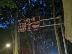 -灵谷景区