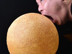 光头司令大麻园（节日）-杨记隆府(白象街店)